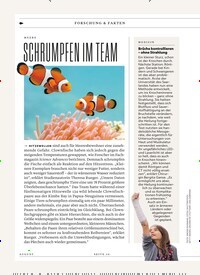 Titelbild der Ausgabe 8/2025 von SCHRUMPFEN IM TEAM. Zeitschriften als Abo oder epaper bei United Kiosk online kaufen.