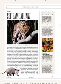 SELTSAME ALLIANZ Titelbild Ausgabe 10/2025 Titelbild der Ausgabe 10/2025 von SELTSAME ALLIANZ. Zeitschriften als Abo oder epaper bei United Kiosk online kaufen.