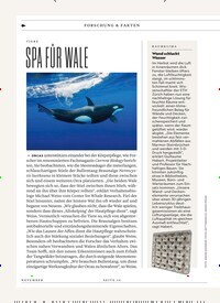 SPA FUR WALE Titelbild Ausgabe 11/2025 Titelbild der Ausgabe 11/2025 von SPA FUR WALE. Zeitschriften als Abo oder epaper bei United Kiosk online kaufen.