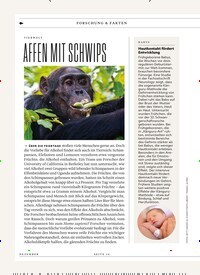 Titelbild der Ausgabe 12/2025 von FORSCHUNG & FAKTEN. Zeitschriften als Abo oder epaper bei United Kiosk online kaufen.