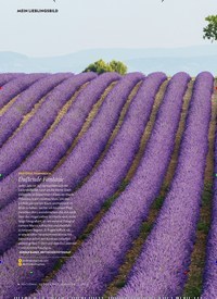 Titelbild der Ausgabe 3/2022 von Duftende Fantasie. Zeitschriften als Abo oder epaper bei United Kiosk online kaufen.