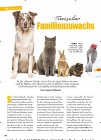 Titelbild der Ausgabe 2/2022 von Tierischer Familienzuwachs. Zeitschriften als Abo oder epaper bei United Kiosk online kaufen.