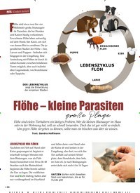 Titelbild der Ausgabe 2/2022 von Flöhe – kleine Parasiten große Plage. Zeitschriften als Abo oder epaper bei United Kiosk online kaufen.
