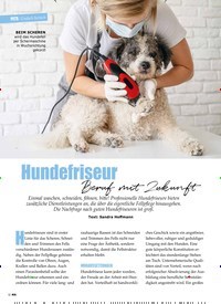Titelbild der Ausgabe 2/2022 von Hundefriseur Beruf mit Zukunft. Zeitschriften als Abo oder epaper bei United Kiosk online kaufen.
