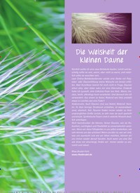 Titelbild der Ausgabe 19/2021 von Die Weisheit der kleinen Daune. Zeitschriften als Abo oder epaper bei United Kiosk online kaufen.