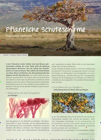 Titelbild der Ausgabe 19/2021 von Pflanzliche Schutzschirme. Zeitschriften als Abo oder epaper bei United Kiosk online kaufen.