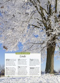 Titelbild der Ausgabe 6/2018 von HEIMAT IN ZAHLEN: Linde. Zeitschriften als Abo oder epaper bei United Kiosk online kaufen.