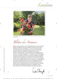 Titelbild der Ausgabe 3/2019 von Blüten des Sommers. Zeitschriften als Abo oder epaper bei United Kiosk online kaufen.