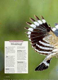 Titelbild der Ausgabe 2/2022 von Wiedehopf. Zeitschriften als Abo oder epaper bei United Kiosk online kaufen.