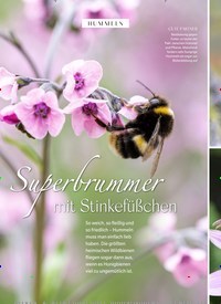 Titelbild der Ausgabe 4/2022 von Superbrummer mit Stinkefüßchen. Zeitschriften als Abo oder epaper bei United Kiosk online kaufen.