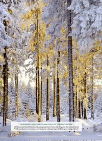 Titelbild der Ausgabe 6/2023 von Winterzauber im Nadelwald. Zeitschriften als Abo oder epaper bei United Kiosk online kaufen.