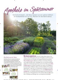 Titelbild der Ausgabe 3/2018 von Apotheke im Spätsommer. Zeitschriften als Abo oder epaper bei United Kiosk online kaufen.
