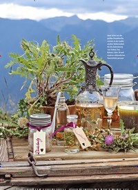 Titelbild der Ausgabe 3/2018 von Kletten & Disteln: Stachlige Heiler. Zeitschriften als Abo oder epaper bei United Kiosk online kaufen.