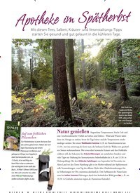 Titelbild der Ausgabe 4/2018 von Apotheke im Spätherbst. Zeitschriften als Abo oder epaper bei United Kiosk online kaufen.