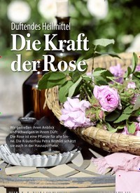 Titelbild der Ausgabe 2/2019 von Duftendes Heilmittel: Die Kraft der Rose: BEWÄHRTE HEILPFLANZEN. Zeitschriften als Abo oder epaper bei United Kiosk online kaufen.