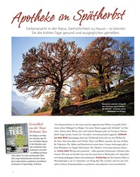 Titelbild der Ausgabe 4/2019 von Apotheke im Spätherbst. Zeitschriften als Abo oder epaper bei United Kiosk online kaufen.