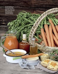 Titelbild der Ausgabe 4/2019 von Kraft der Karotte. Zeitschriften als Abo oder epaper bei United Kiosk online kaufen.