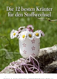 Titelbild der Ausgabe 1/2021 von Die 12 besten Kräuter für den Stoffwechsel. Zeitschriften als Abo oder epaper bei United Kiosk online kaufen.