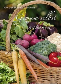 Titelbild der Ausgabe 33/2019 von GUT ZU WISSEN: VON DER SAAT BIS ZUR ERNTE: Gemüse selbst anbauen. Zeitschriften als Abo oder epaper bei United Kiosk online kaufen.
