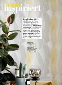 Titelbild der Ausgabe 2/2021 von cosy inspiriert. Zeitschriften als Abo oder epaper bei United Kiosk online kaufen.