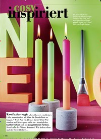 Titelbild der Ausgabe 6/2021 von Cosy inspiriert. Zeitschriften als Abo oder epaper bei United Kiosk online kaufen.