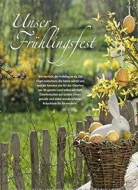Titelbild der Ausgabe 1/2020 von User Frühlingsfest. Zeitschriften als Abo oder epaper bei United Kiosk online kaufen.