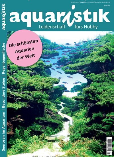 Titelbild der Ausgabe 1/2026 von aquaristik. Diese Zeitschrift und viele weitere Elternzeitschriften und Tierzeitschriften als Abo oder epaper bei United Kiosk online kaufen.