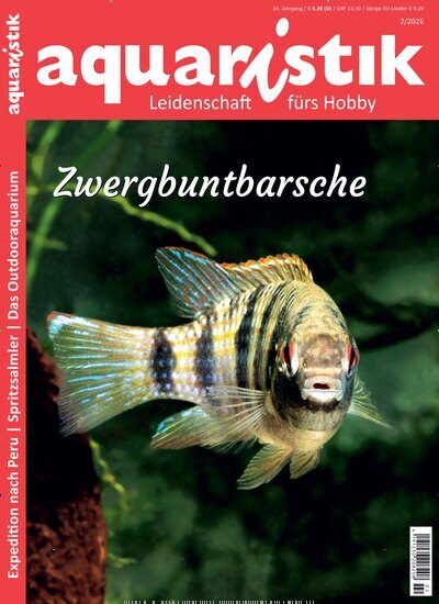 Titelbild der Ausgabe 2/2026 von aquaristik. Diese Zeitschrift und viele weitere Elternzeitschriften und Tierzeitschriften als Abo oder epaper bei United Kiosk online kaufen.