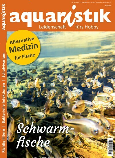Titelbild der Ausgabe 3/2024 von aquaristik. Diese Zeitschrift und viele weitere Elternzeitschriften und Tierzeitschriften als Abo oder epaper bei United Kiosk online kaufen.