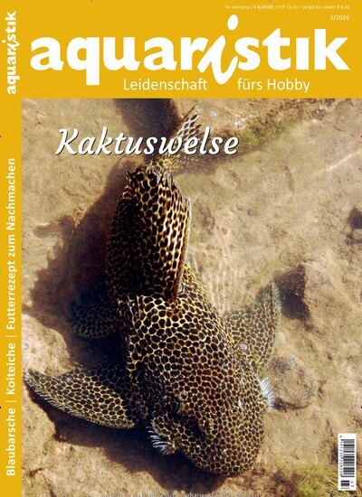 Titelbild der Ausgabe 3/2026 von aquaristik. Diese Zeitschrift und viele weitere Elternzeitschriften und Tierzeitschriften als Abo oder epaper bei United Kiosk online kaufen.