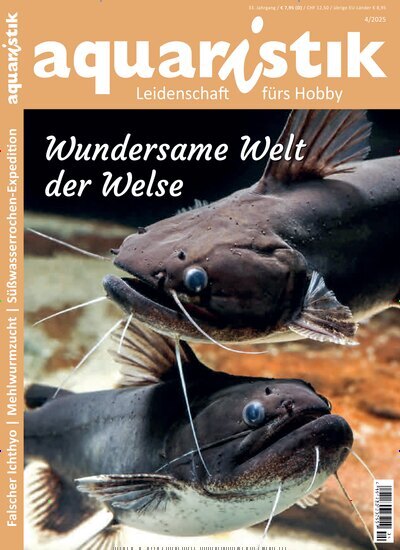 Titelbild der Ausgabe 4/2025 von aquaristik. Diese Zeitschrift und viele weitere Elternzeitschriften und Tierzeitschriften als Abo oder epaper bei United Kiosk online kaufen.