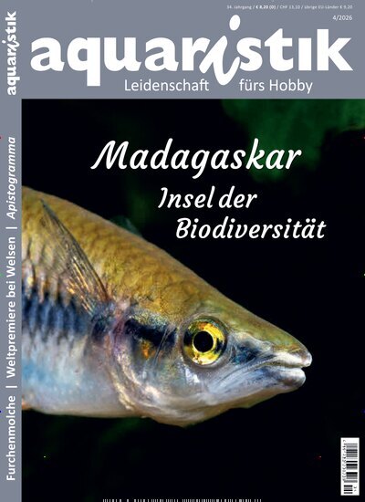 Titelbild der Ausgabe 4/2026 von aquaristik. Diese Zeitschrift und viele weitere Elternzeitschriften und Tierzeitschriften als Abo oder epaper bei United Kiosk online kaufen.