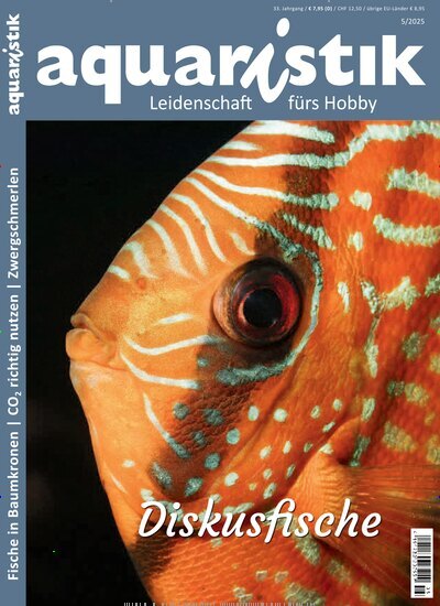 Titelbild der Ausgabe 5/2025 von aquaristik. Diese Zeitschrift und viele weitere Elternzeitschriften und Tierzeitschriften als Abo oder epaper bei United Kiosk online kaufen.