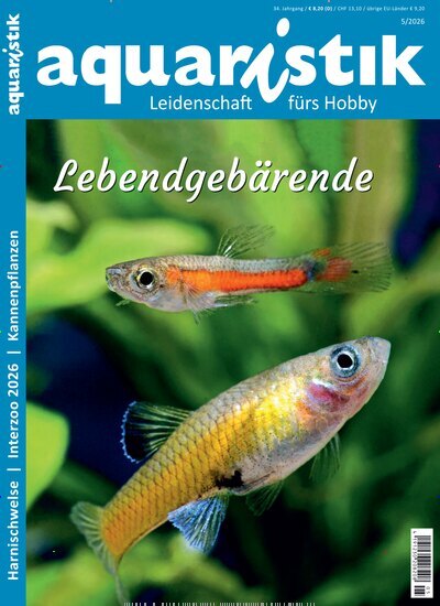 Titelbild der Ausgabe 5/2026 von aquaristik. Diese Zeitschrift und viele weitere Elternzeitschriften und Tierzeitschriften als Abo oder epaper bei United Kiosk online kaufen.