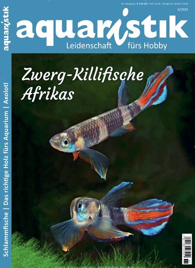 Titelbild der Ausgabe 6/2025 von aquaristik. Diese Zeitschrift und viele weitere Elternzeitschriften und Tierzeitschriften als Abo oder epaper bei United Kiosk online kaufen.
