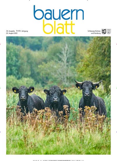 Titelbild der Ausgabe 46/2023 von bauernblatt (SH & Hamburg). Diese Zeitschrift und viele weitere Naturzeitschriften, Landwirtschaftszeitungen und Umweltmagazine als Abo oder epaper bei United Kiosk online kaufen.