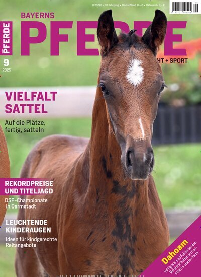 Titelbild der Ausgabe 9/2025 von Bayerns Pferde. Diese Zeitschrift und viele weitere Sportmagazine als Abo oder epaper bei United Kiosk online kaufen.