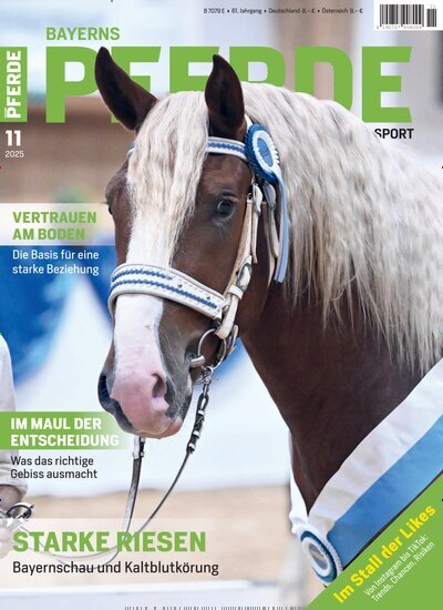 Titelbild der Ausgabe 11/2025 von Bayerns Pferde. Diese Zeitschrift und viele weitere Sportmagazine als Abo oder epaper bei United Kiosk online kaufen.