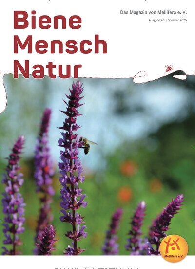 Titelbild der Ausgabe 48/2025 von Biene Mensch Natur. Diese Zeitschrift und viele weitere Gartenzeitschriften und Wohnzeitschriften als Abo oder epaper bei United Kiosk online kaufen.