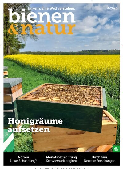 Titelbild der Ausgabe 4/2026 von bienen&natur. Diese Zeitschrift und viele weitere Naturzeitschriften, Landwirtschaftszeitungen und Umweltmagazine als Abo oder epaper bei United Kiosk online kaufen.