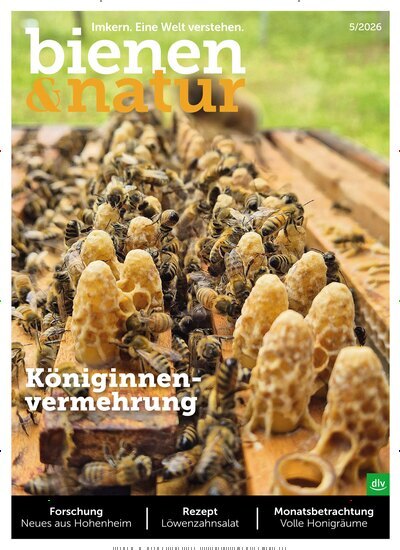 Titelbild der Ausgabe 5/2026 von bienen&natur. Diese Zeitschrift und viele weitere Naturzeitschriften, Landwirtschaftszeitungen und Umweltmagazine als Abo oder epaper bei United Kiosk online kaufen.