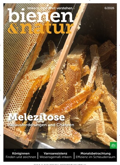 Titelbild der Ausgabe 6/2026 von bienen&natur. Diese Zeitschrift und viele weitere Naturzeitschriften, Landwirtschaftszeitungen und Umweltmagazine als Abo oder epaper bei United Kiosk online kaufen.