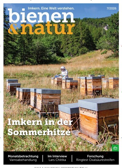Titelbild der Ausgabe 7/2026 von bienen&natur. Diese Zeitschrift und viele weitere Naturzeitschriften, Landwirtschaftszeitungen und Umweltmagazine als Abo oder epaper bei United Kiosk online kaufen.