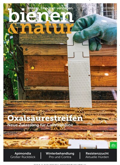 Titelbild der Ausgabe 11/2025 von bienen&natur. Diese Zeitschrift und viele weitere Naturzeitschriften, Landwirtschaftszeitungen und Umweltmagazine als Abo oder epaper bei United Kiosk online kaufen.