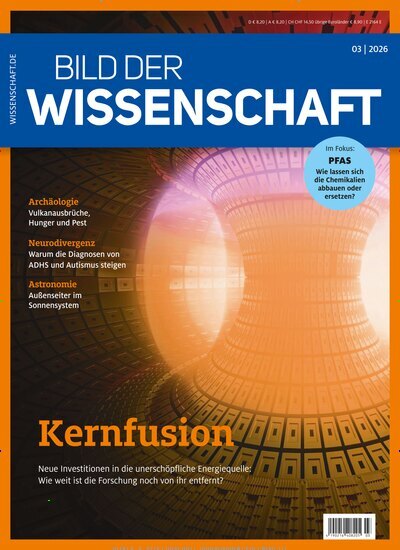 Titelbild der Ausgabe 3/2026 von bild der wissenschaft. Diese Zeitschrift und viele weitere Reisemagazine, Freizeitmagazine und Wissensmagazine als Abo oder epaper bei United Kiosk online kaufen.