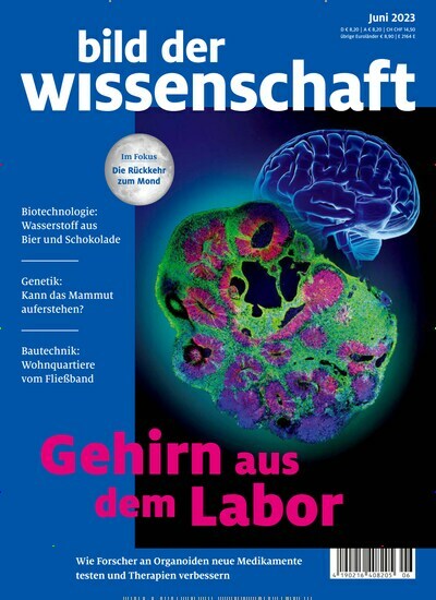 Titelbild der Ausgabe 6/2023 von bild der wissenschaft. Diese Zeitschrift und viele weitere Reisemagazine, Freizeitmagazine und Wissensmagazine als Abo oder epaper bei United Kiosk online kaufen.