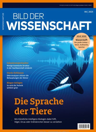 Titelbild der Ausgabe 6/2025 von bild der wissenschaft. Diese Zeitschrift und viele weitere Reisemagazine, Freizeitmagazine und Wissensmagazine als Abo oder epaper bei United Kiosk online kaufen.