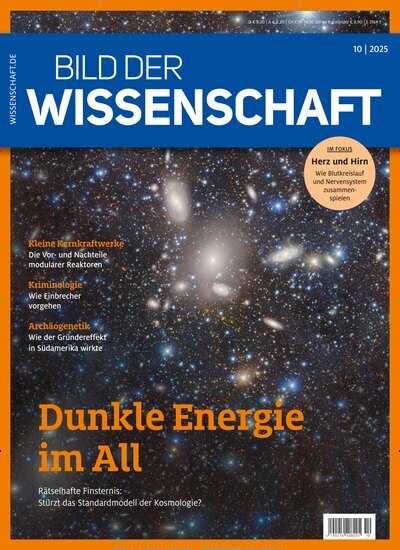 Titelbild der Ausgabe 10/2025 von bild der wissenschaft. Diese Zeitschrift und viele weitere Reisemagazine, Freizeitmagazine und Wissensmagazine als Abo oder epaper bei United Kiosk online kaufen.