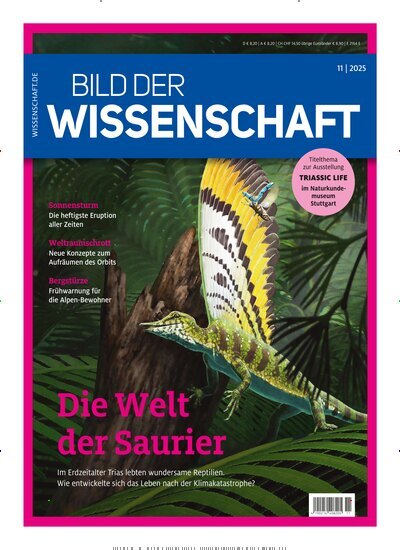 Titelbild der Ausgabe 11/2025 von bild der wissenschaft. Diese Zeitschrift und viele weitere Reisemagazine, Freizeitmagazine und Wissensmagazine als Abo oder epaper bei United Kiosk online kaufen.