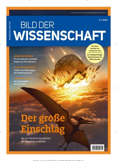 Titelbild der Ausgabe 11/2026 von Bild der Wissenschaft. Diese Zeitschrift und viele weitere Reisemagazine, Freizeitmagazine und Wissensmagazine als Abo oder epaper bei United Kiosk online kaufen.
